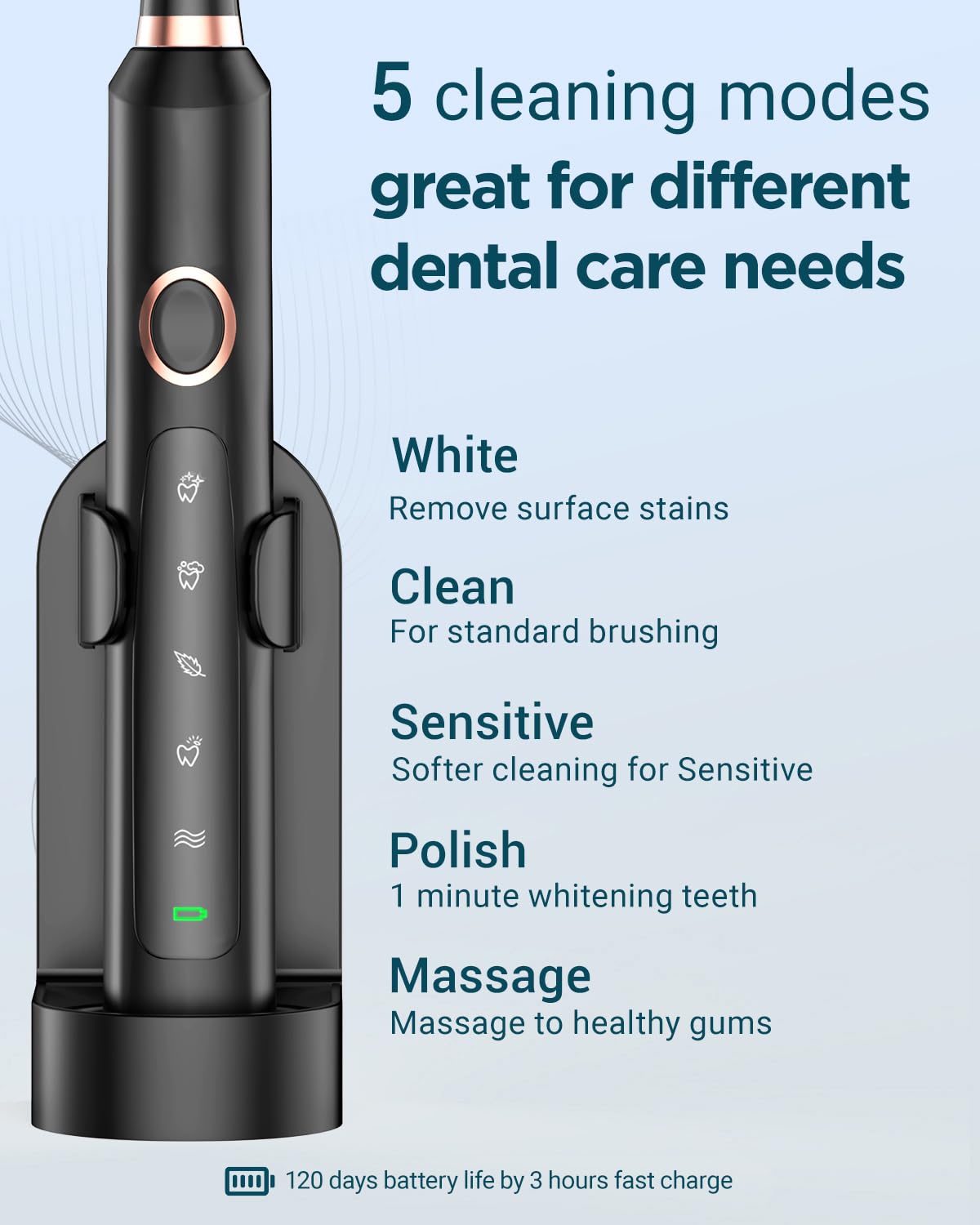 2 Rechargeable Electric Toothbrushes with 12 Brush Heads & 2 Travel Case