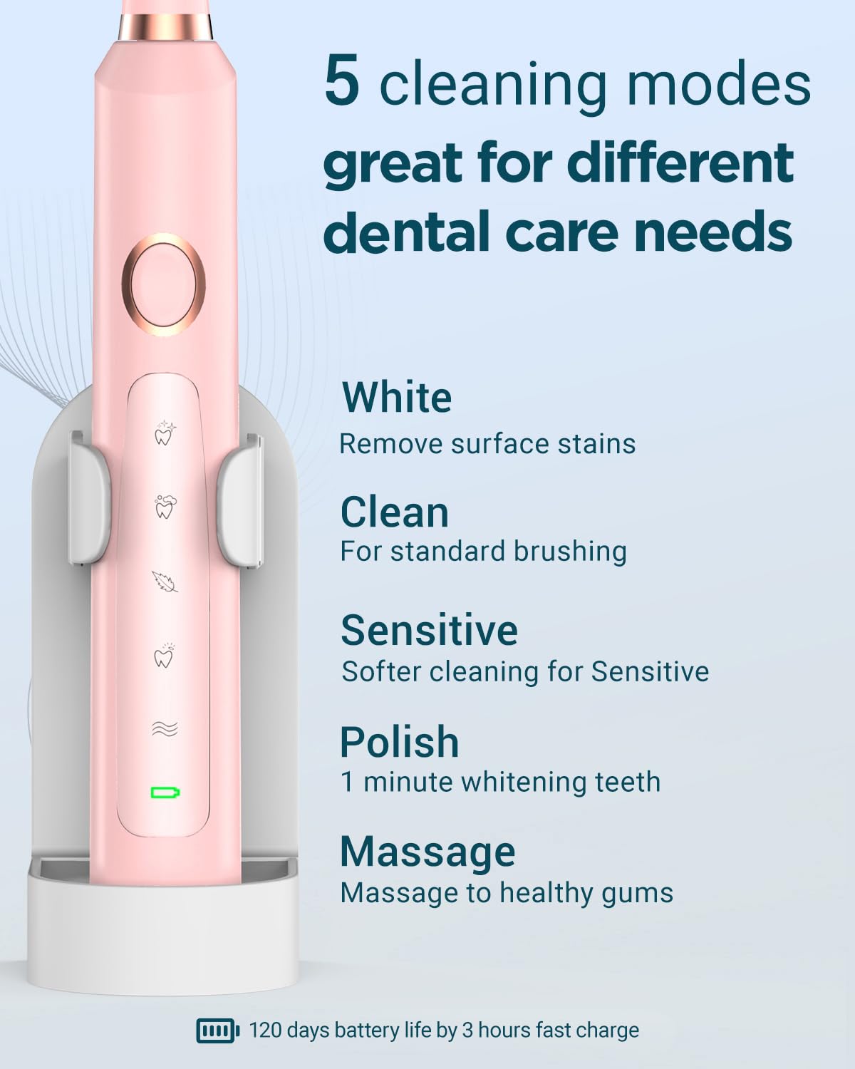 2 Rechargeable Electric Toothbrushes with 12 Brush Heads & 2 Travel Case